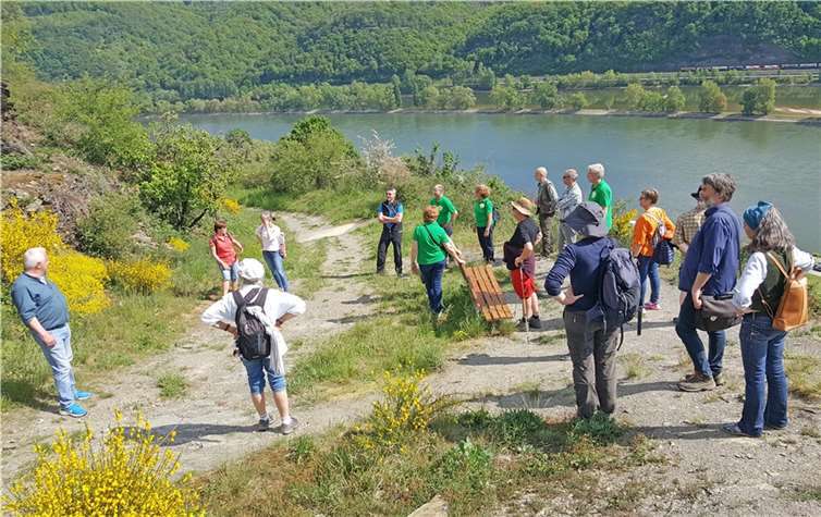 Im Rahmen des Treffens hatte die Initiative „Grüne Daumen Spay“ in die Spayer Weinberge eingeladen, um die dortigen Maßnahmen und Aktivitäten der vergangenen Jahre vorzustellen. Quelle: Kreis MYK