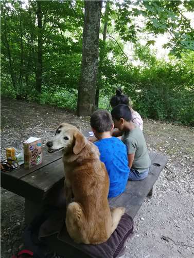 Im Rahmen einer Leseaktion durfte „Lotta“ den Schülern der vierten Klasse über die Schulter gucken.  Foto: Grundschule Adenau
