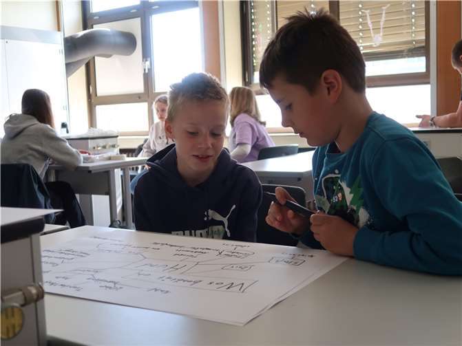 Im Rahmen einer Plakatarbeit beschäftigten die Schüler sich mit dem Thema Haustiere.