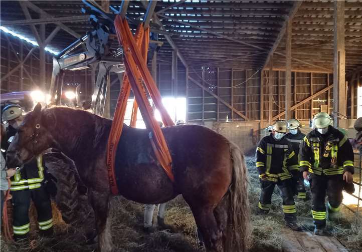 Im Rahmen einer technischen Rettung konnte das Pferd befreit werden. Foto: privat