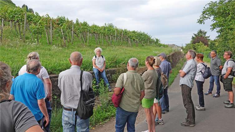 Im Rahmen eines Rundgangs durch Winningen erklärte die Naturgartenexpertin Biggi Kaczmarek den Teilnehmern, welche Pflanzen und Standorte sich besonders für Wildbienen eignen.  Foto: Dr. Rüdiger Kape