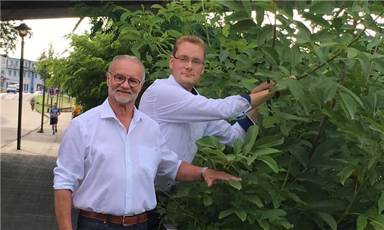 Im Rahmen eines kürzlich stattgefundenen Stadtteilspaziergangs durch die Alt- und Innenstadt von Koblenz wurde seitens des SPD-Ortsvereins Altstadt-Mitte auch das Peter-Altmeier-Ufer inspiziert.Foto: privat