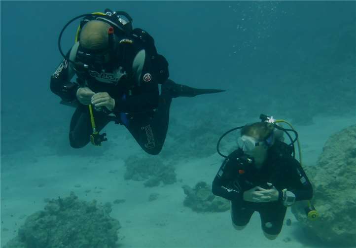 Im Roten Meer konnten die Andernacher Taucher eine beeindruckend bunte Korallenwelt entdecken. privat