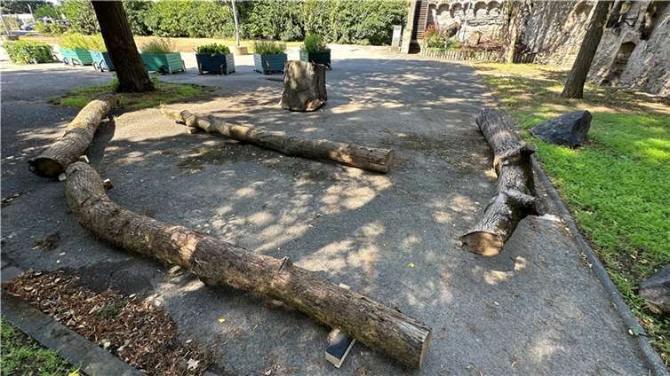Im Schatten der Bäume wurde auf dem Gelände eine Sitzecke geschaffen. Hier kann auf Baumstämmen von Bäumen, die in Andernach gefällt werden mussten, eine Pause eingelegt oder das mitgebrachte Picknick genossen werden.
