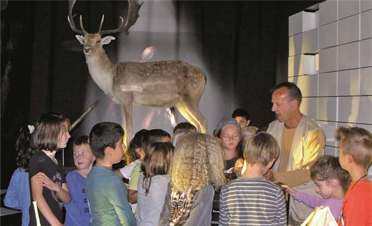 Im Schloss der Forscher angekommen, gelangten die Kinder und ihre Lehrerinnen durch einen Zeittunnel gedanklich in die Steinzeit.privat