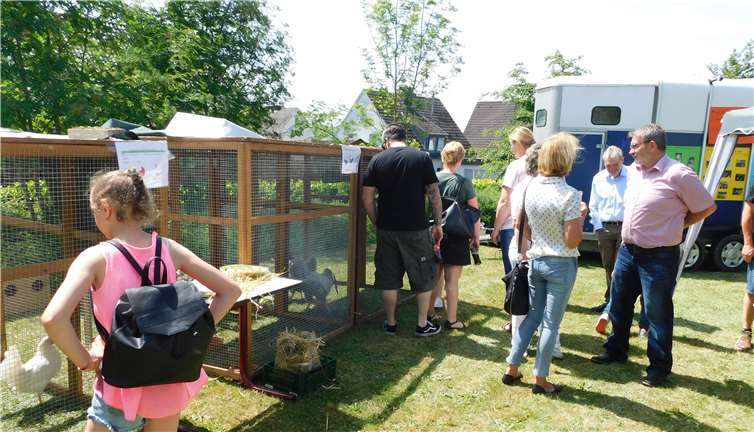 Im Schulgarten war lebendes Federvieh zu bestaunen.