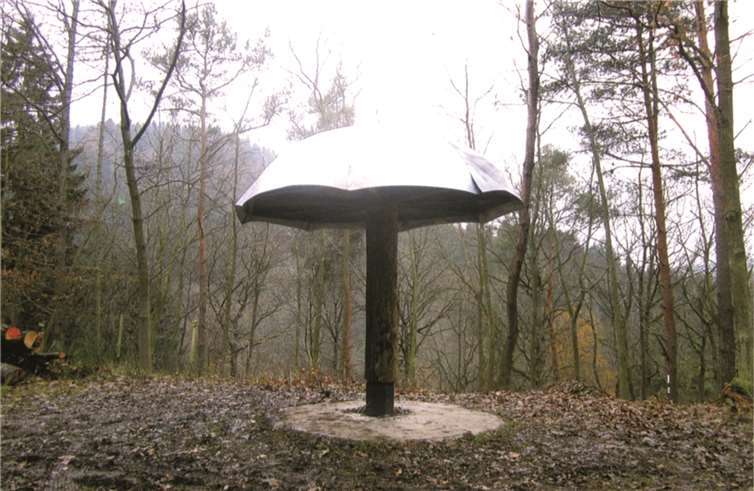 Im Schulwald Kesseling steht wieder ein neuer Pilz.Bernd Kreucher