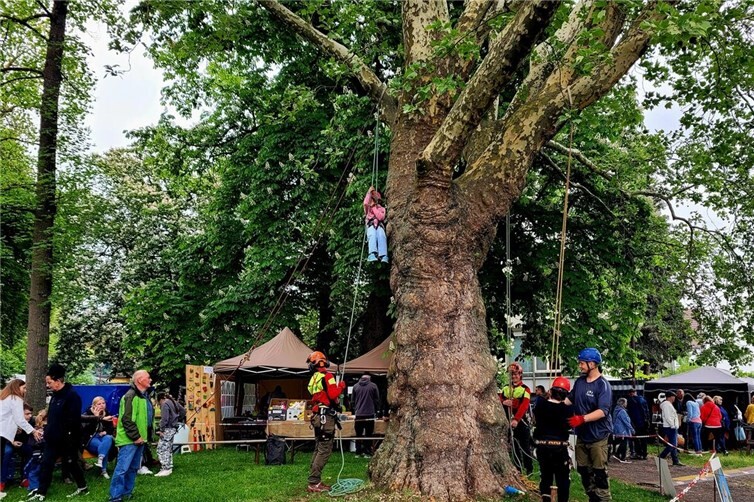 Im Stadtpark lockt wieder ein attraktives Familienprogramm mit viel Spaß und Bewegung.