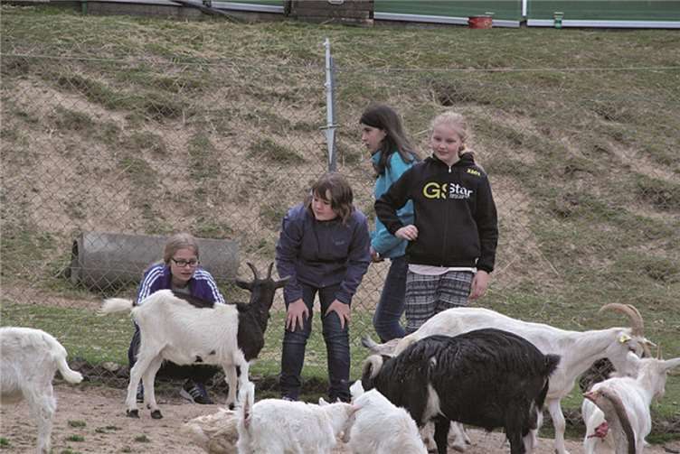 Im Streichelzoo wurden ersten Freundschaften mit den niedlichen Tieren geschlossen.privat