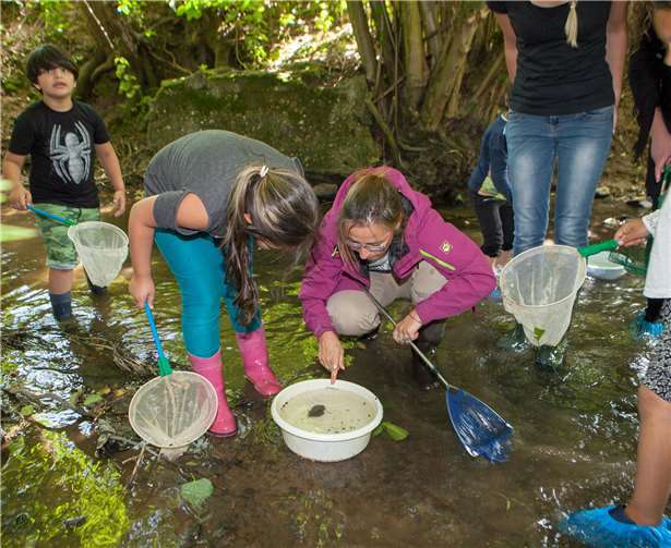 Im Swistbach machten sich die Kinder bei der Entdeckertour „Vorsicht nass!“ auf die Suche nach dem Leben im Bach.-JOST-