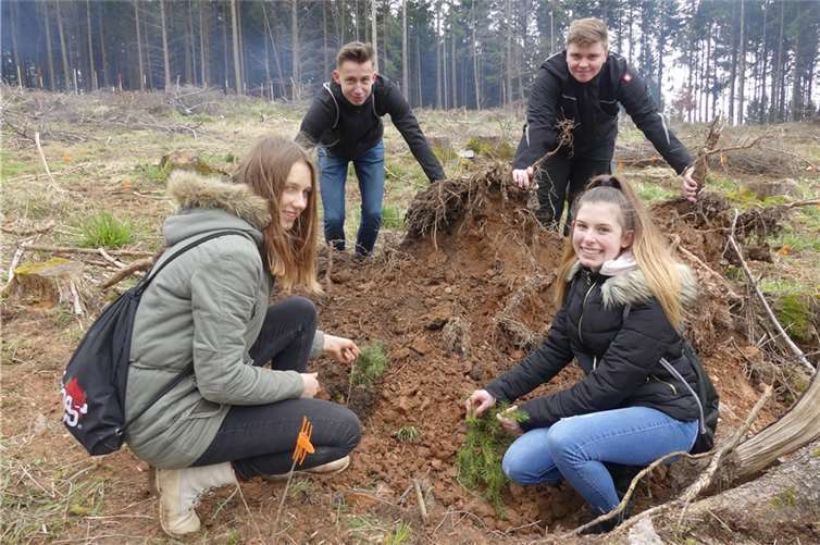 Im Treis-Kardener Gemeindewald pflanzten Schüler/Innen der Realschule Plus neue Bäume. Fotos: TE