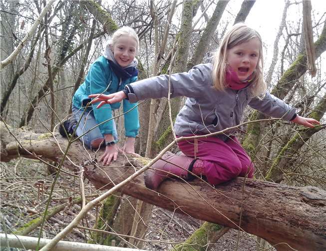Im Wald gab es einiges zu entdecken. Familienbildungsstätte Linz