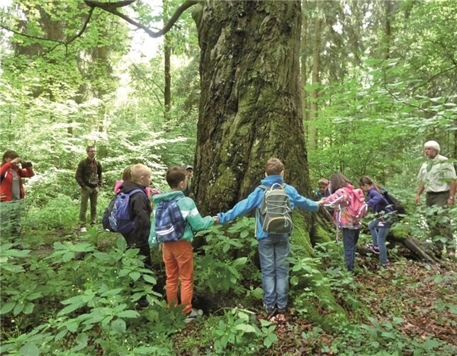 Im Wald gab es für die Kinder einiges zu erleben.