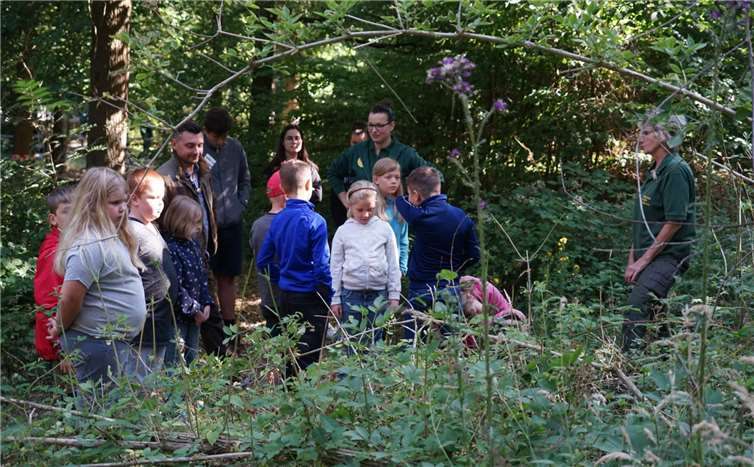 Im Wald gab es für die Teilnehmer viel zu entdecken.