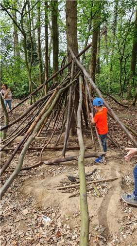 Im Wald gab es viel zu tun.