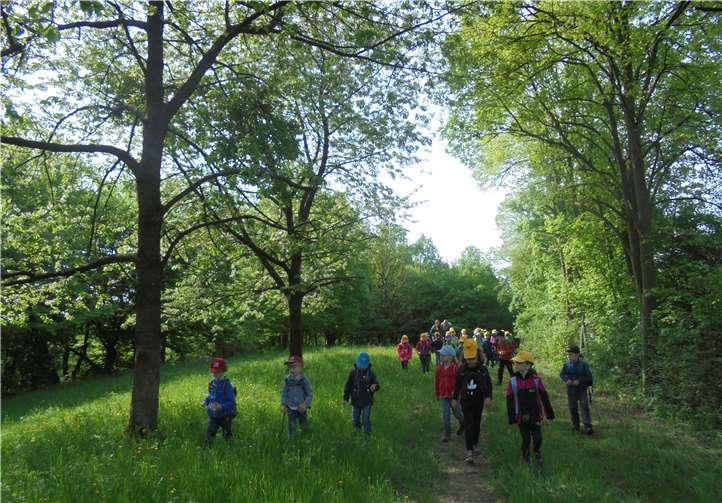 Im Wald konnten die Kinder auf Entdeckungstour gehen. privat