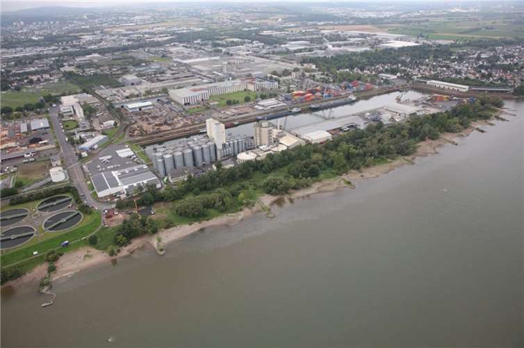Im Wallersheimer Hafen traten erhebliche Mengen eines Öl-Emulsionsgemisches in den Rhein.  Foto: Polizeipräsidium Einsatz, Logistik und Technik