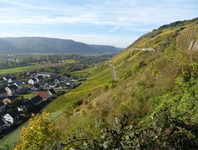 Im Westen dominiert der Charakter des Mittelrheins die Landschaft.Weinberge wechseln sich mit sonnigen Felshängen ab.