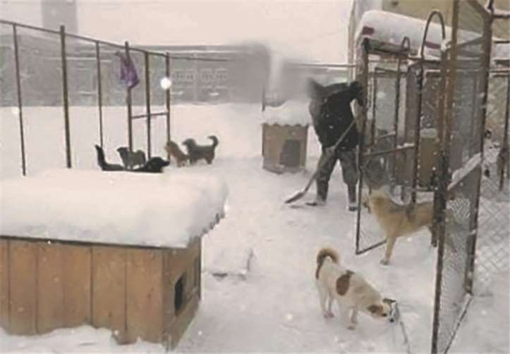 Im Winter sind die Heim-Tiere ganz besonders auf Hilfe und Unterstützung angewiesen.