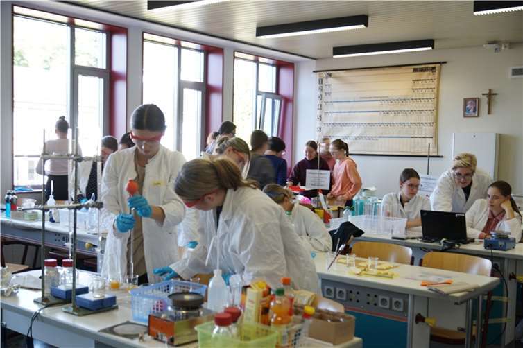 Im Workshop Lebensmitteltechnik gab es interessante Einblicke in die Chemie im Alltag.  Fotos: Schönstätter Marienschule