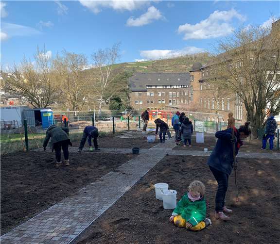 Im grünen Klassenzimmer wird gemeinsam Gemüse angebaut, gepflegt und geerntet. Foto: privat