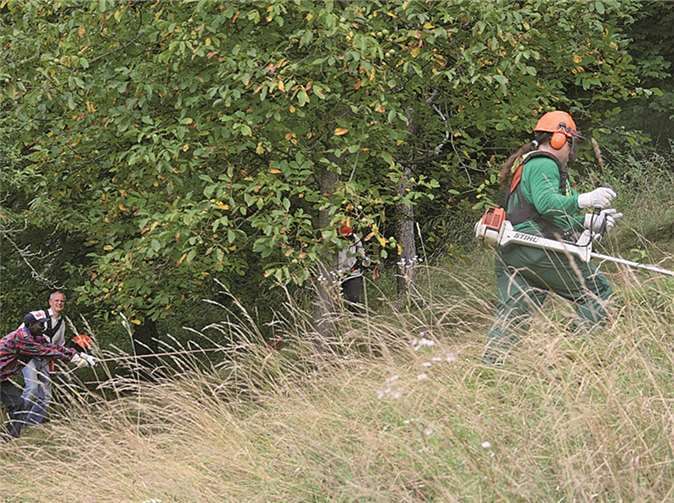 Im hohen Gras am Steilhang ist die Arbeit recht anstrengend.