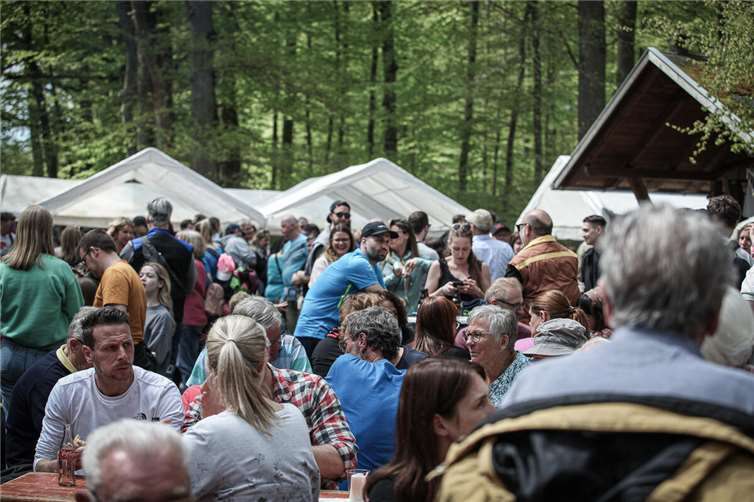 Im idyllischen Vallendarer Stadtwald findet das Fest statt.  Foto: Archiv HVV