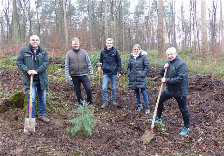 Im künftigen Lahnsteiner Kur- und Heilwald steht nun auch ein Mammutbaum. Foto: Stadtverwaltung Lahnstein
