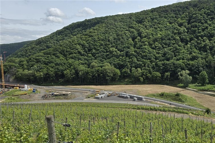 Im mittleren, linken Bereich soll die Haltepunkt Marienthal entstehen.Foto: Rolf Schmitt
