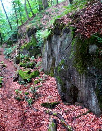 Im römischen Basaltsteinbruch an der Hohen Buche. Foto: Konrad Frieden