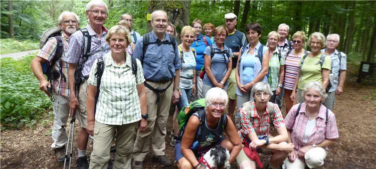 Im schattigen Wald ließ es sich gut wandern. Die Sinziger Gruppe an der Kreuzeiche. Privat