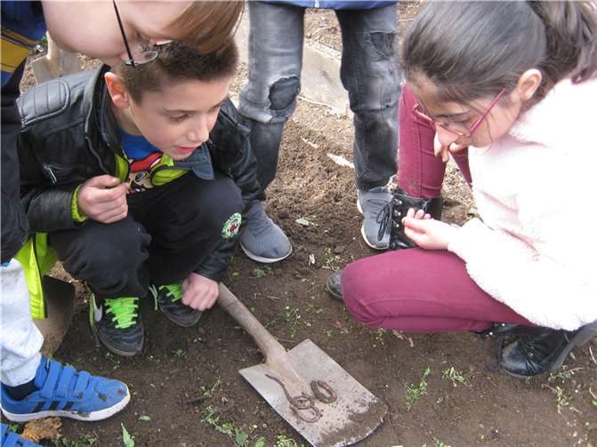 Im vergangenen Sommer nahm die GTS St. Peter an einem landesweiten Fotowettbewerb „Schulgarten 20/21“ teil und gewann für ihren Beitrag den hervorragenden 1. Platz.