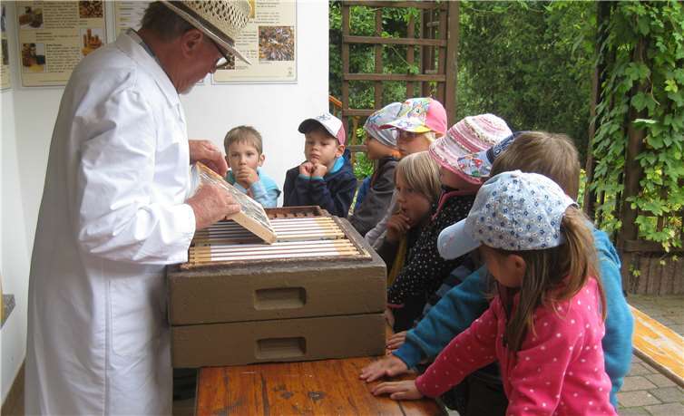 Imker Rudolf Tschöpe zeigt den Kindern einen Bienenstock.