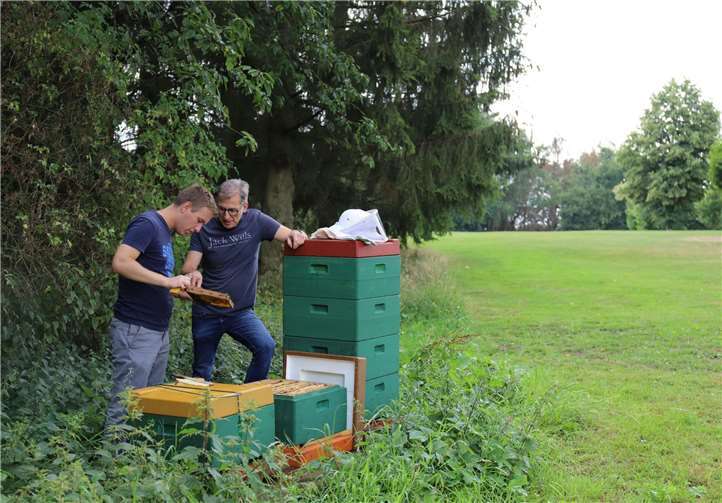 Imker Stefan Dörksen und Matthias Fausten, 1. Vorsitzender des Bienenzuchtvereins Heimbach-Weis-Gladbach, bei der Völkerdurchsicht am Bienenstand auf dem Golfplatz. Foto: privat