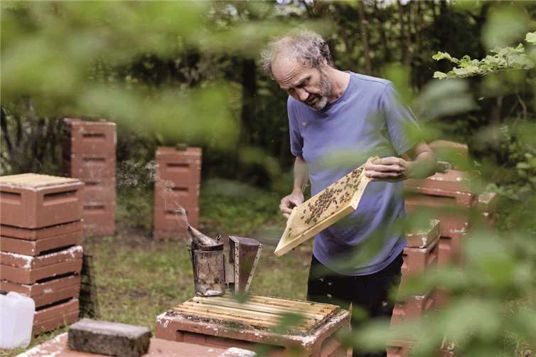 Imker bei der Arbeit mit braven Bienen.  Foto: J. Düfelsiek