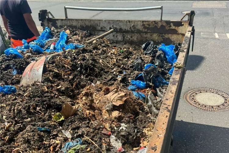 Immer häufiger stecken Hundekotbeutel in den Gully-Sinkbehältern fest und verstopfen den Abfluss. Das kann zu Überschwemmungen führen.Fotos: Urzun Ömer