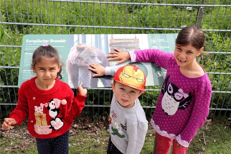 Immer mehr Aktionen und Veranstaltungen locken in den Wildpark – für alle Kinder ist das Gehege von Braunbärin Sally immer eine besondere Attraktion