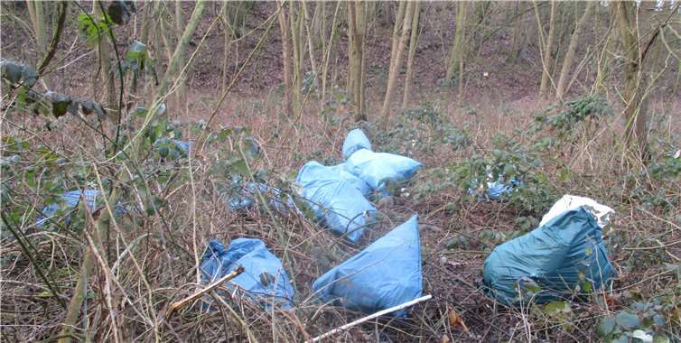 Immer wieder kommt es im Stadtgebiet von Bendorf zu illegalen Müllablagerungen. Foto: Stadt Bendorf am Rhein