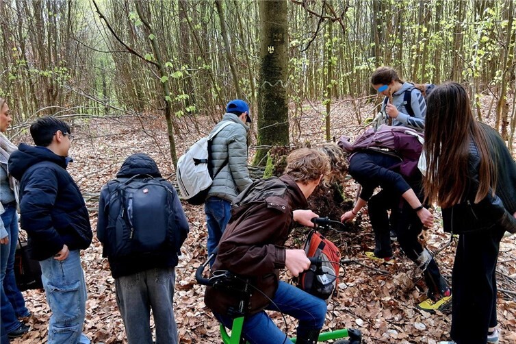 Impression Waldtag