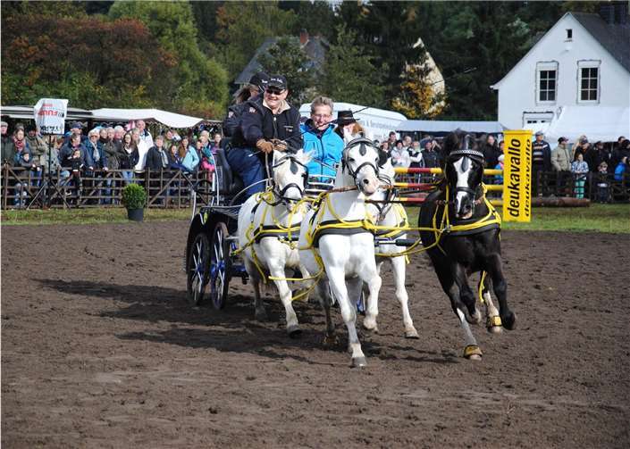 Impressionen aus den Vorjahren. Stadt Mayen
