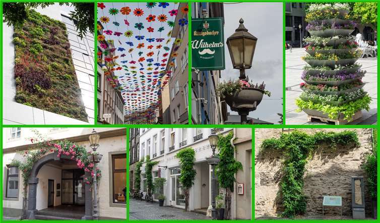 Blühende Altstadt - aber mehr grün wäre sinnvoll Impressionen aus der Altstadt. Foto: Hermann Schäfer