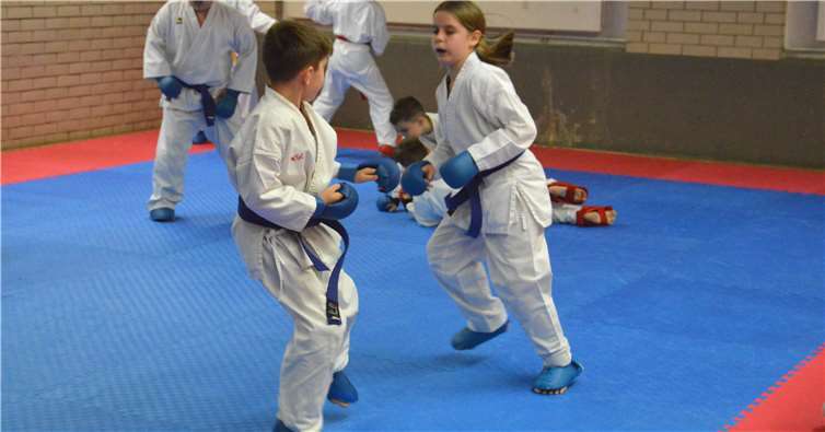 Impressionen von der Sichtung in Montabaur.privat