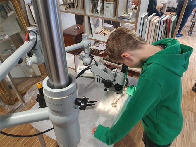 In Deutschland erwartet Besucher erneut ein vielfältiges Programm in Museen, Depots, Ateliers und auf Denkmalbaustellen.