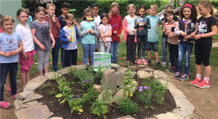 In Eigeninitiative legten die Kinder einen Schmetterlingsgarten an. privat