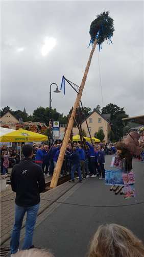 In Kärlich wird der Kirmesbaum von starken Männern mit Muskelkraft aufgestellt.