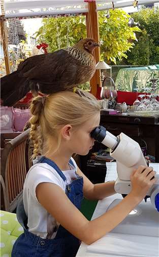 In Notscheid gibt es mehr als nur Rassegrflügel zu sehen. M. Bieler