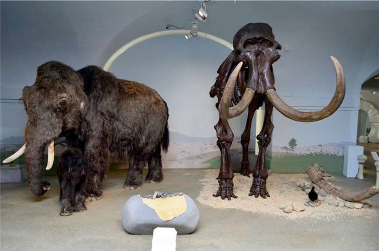 In Originalgröße wurden etwa 40 Eizeittiere als Replika aufwendig hergestellt