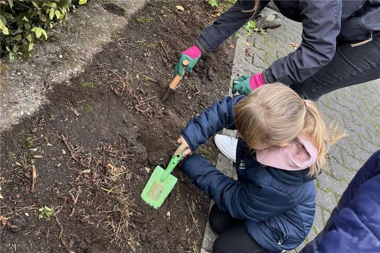 In Steinen wurde die Förderung genutzt, um die Beetbepflanzung entlang der Lindenstraße neu zu gestalten. Foto: Nadine Botte