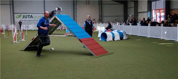 In Windeseile flitzten die Hunde über die A-Wand. Fotos: MIH