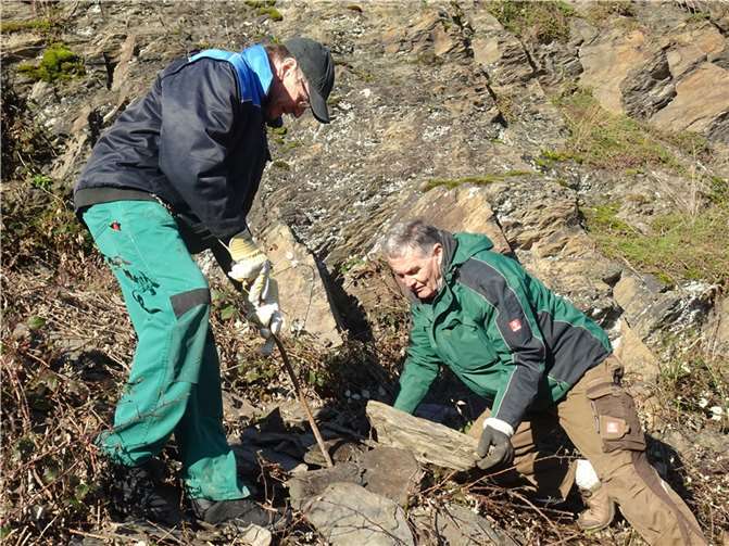 In Zusammenarbeit mit dem DLR Mosel bietet die Regionalinitiative „Faszination Mosel“ einen zweitägigen Trockenmauerbaukurs für den Verein der Lehmer Razejunge in der Lehmener Würzlay an. Foto: privat